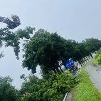 IMG_5649.jpeg