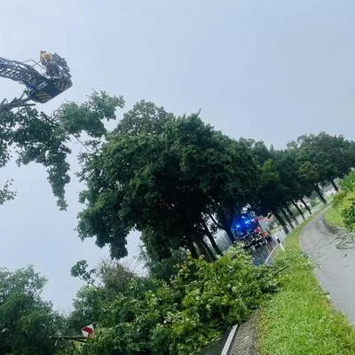 IMG_5649.jpeg